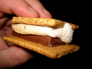 courtesy http://autonomieproject.wordpress.com/2011/08/05/we-want-more-from-our-smores/