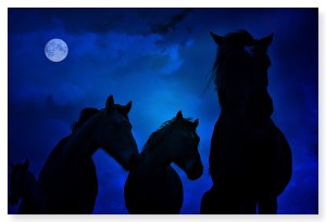 courtesyhttp://saintgirlincrisis.blogspot.com/2009/09/horses-at-night.html