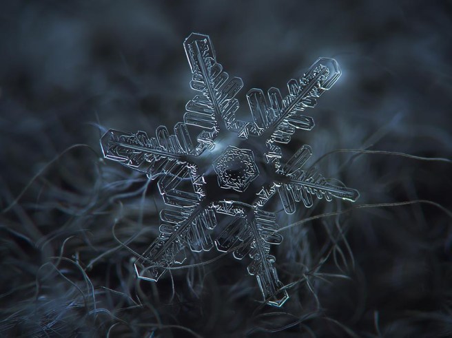 courtesy of http://www.demilked.com/macro-snowflakes-diy-camera-alexey-kljatov/