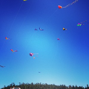 Whidbey Kite Festival /09/2014